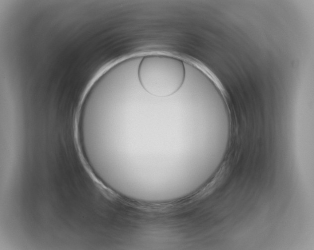 X0000113881101200909241021