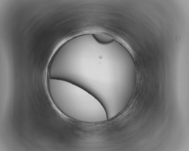 X0000113881103200909241021