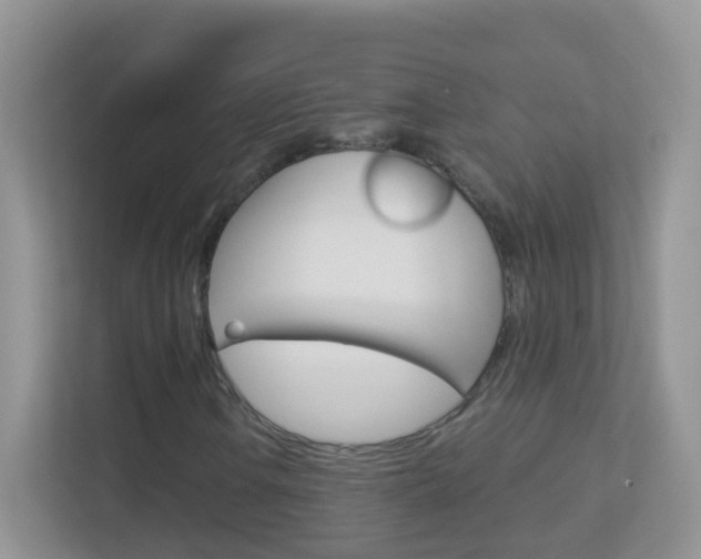 X0000113881106200909241021