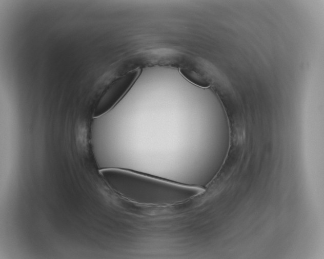X0000113881108200909241021