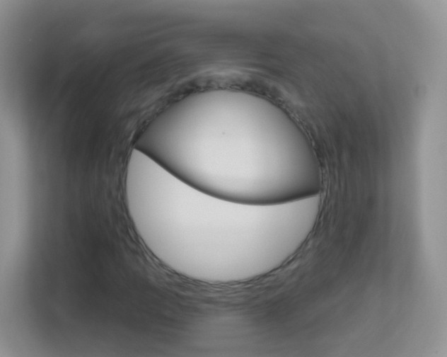 X0000113881109200909241021