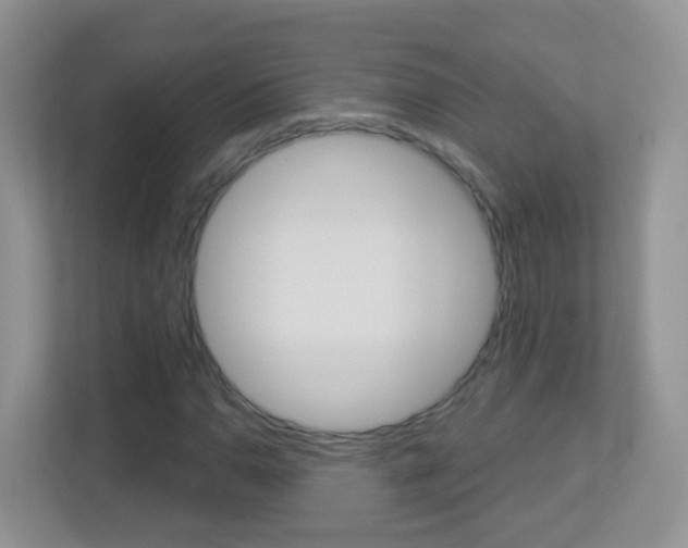 X0000113881110200909241021