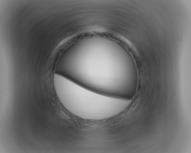 X0000113881112200909241021