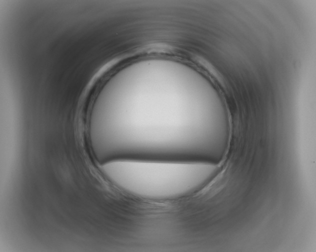 X0000113881115200909241021