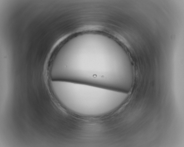 X0000113881119200909241021