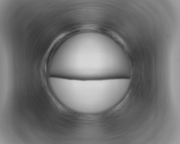 X0000113881123200909241021