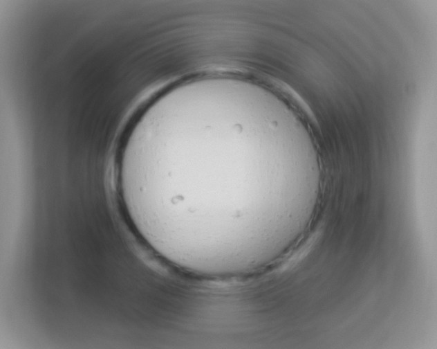 X0000113881125200909241021