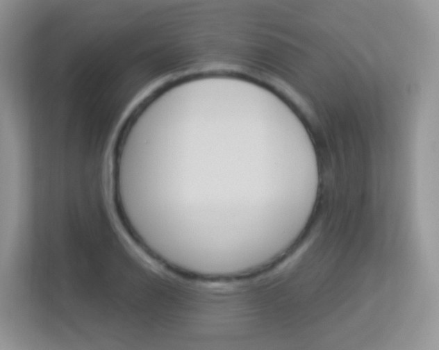 X0000113881126200909241021