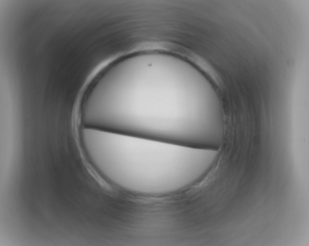 X0000113881127200909241021