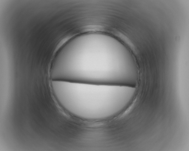 X0000113881129200909241021