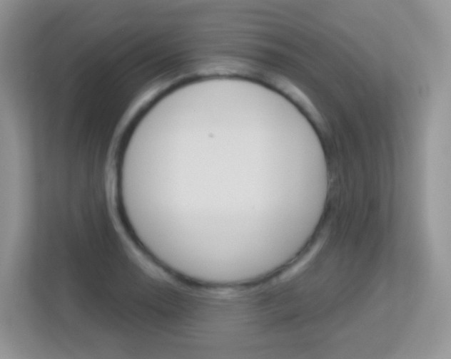 X0000113881130200909241021