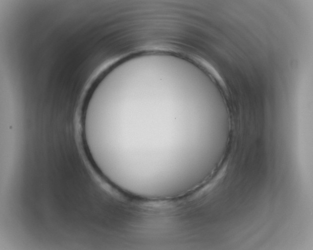 X0000113881133200909241021
