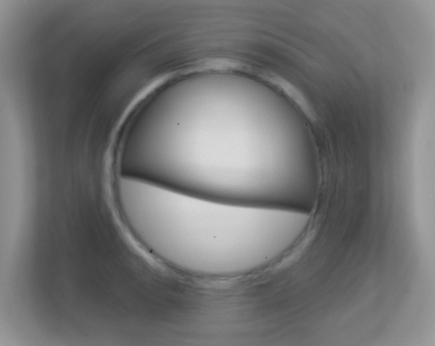 X0000113881134200909241021