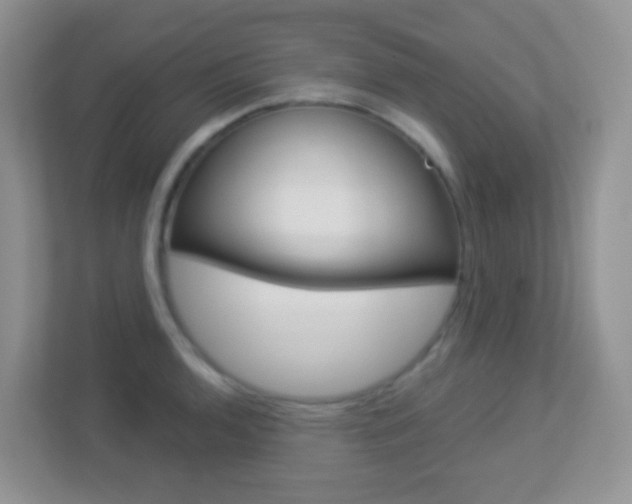 X0000113881136200909241021