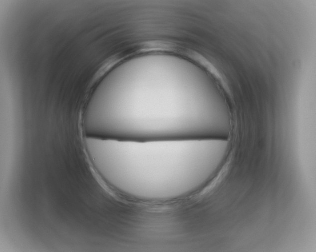 X0000113881137200909241021