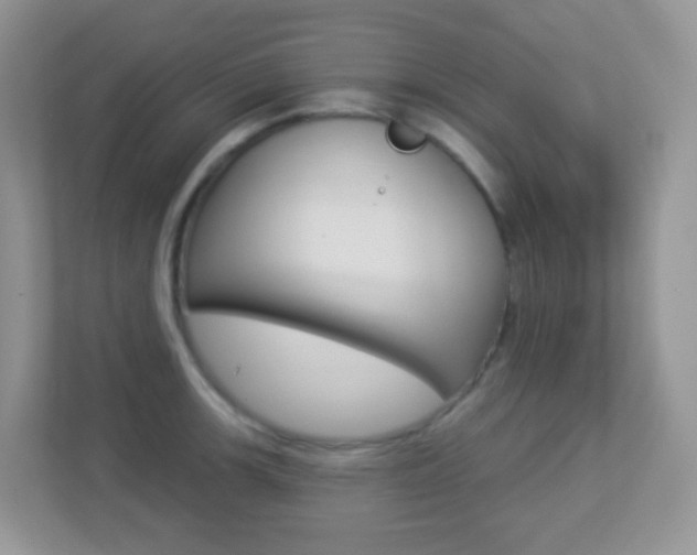X0000113881139200909241021