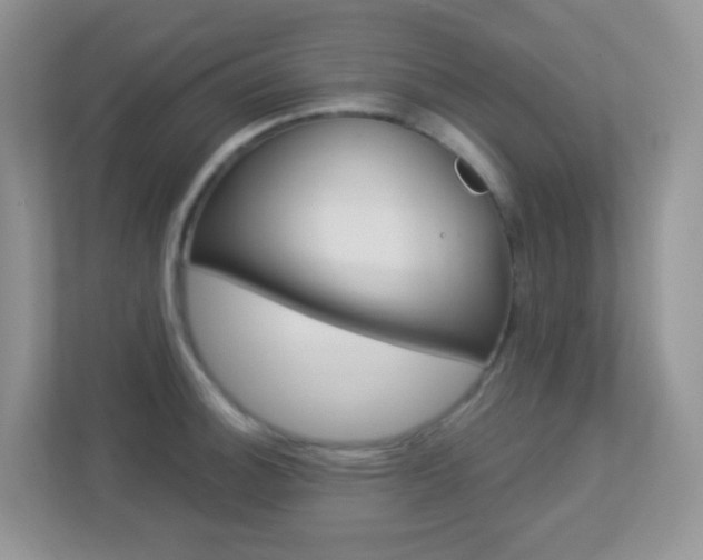 X0000113881140200909241021