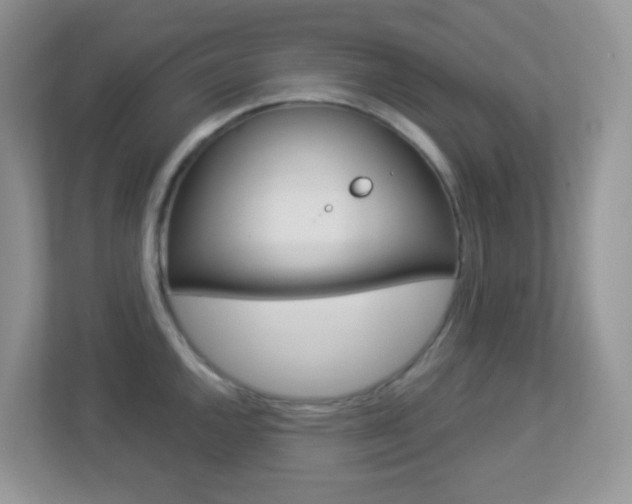 X0000113881144200909241021