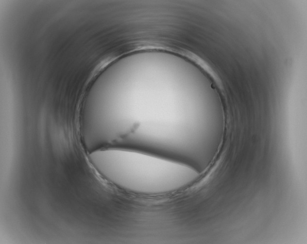 X0000113881145200909241021