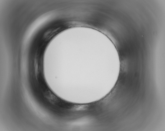 X0000113881150200909241021
