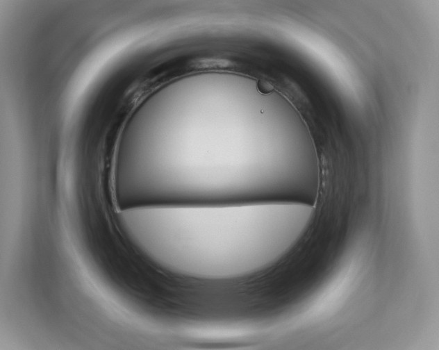 X0000113881151200909241021