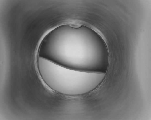 X0000113881152200909241021