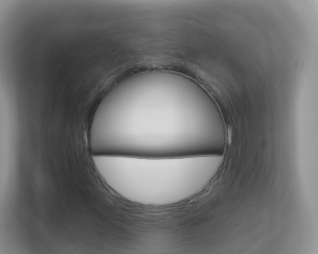 X0000113881155200909241020