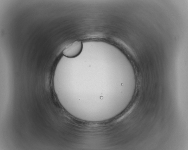 X0000113881162200909241020