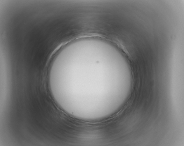 X0000113881165200909241020