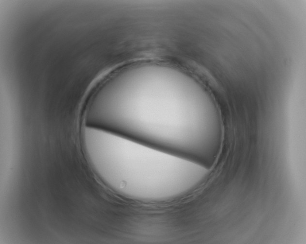 X0000113881168200909241020
