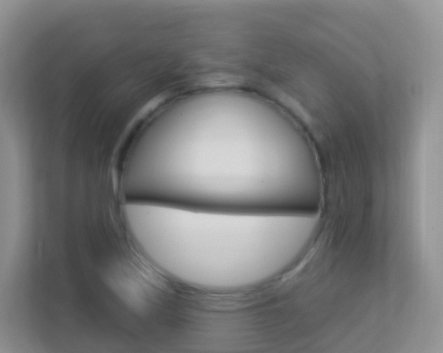 X0000113881171200909241020