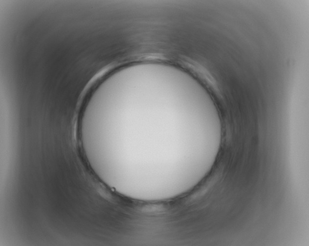 X0000113881174200909241020