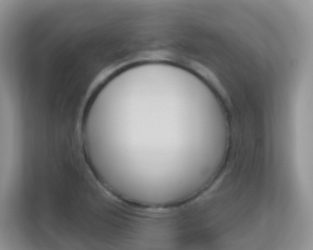 X0000113881176200909241020