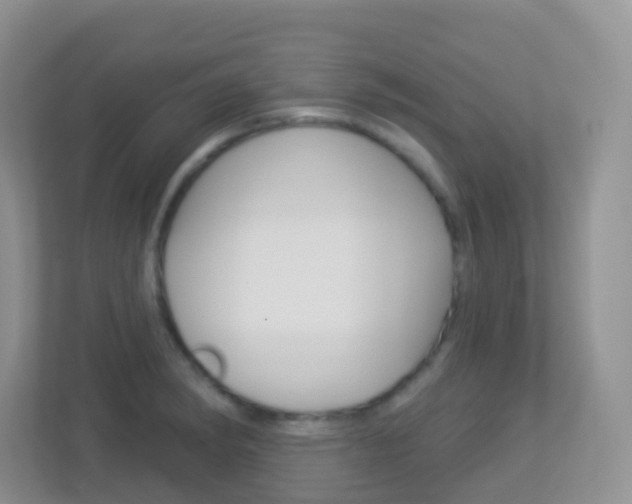 X0000113881182200909241020