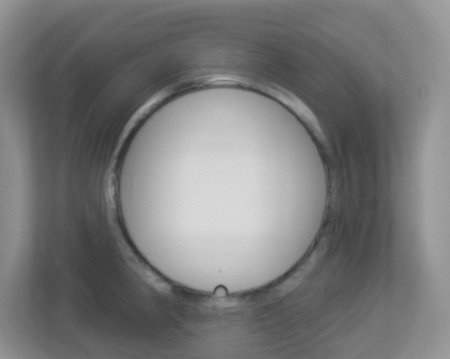 X0000113881190200909241020