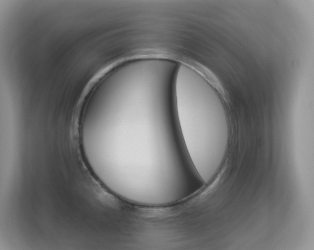 X0000113881192200909241020