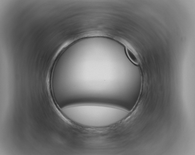 X0000113881197200909241020