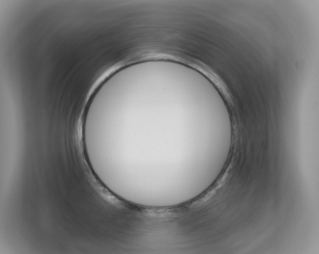 X0000113881198200909241020