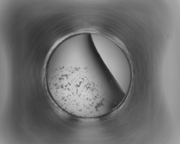 X0000113881200200909241020