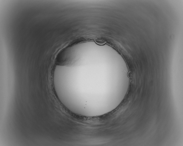 X0000113881201200909241019