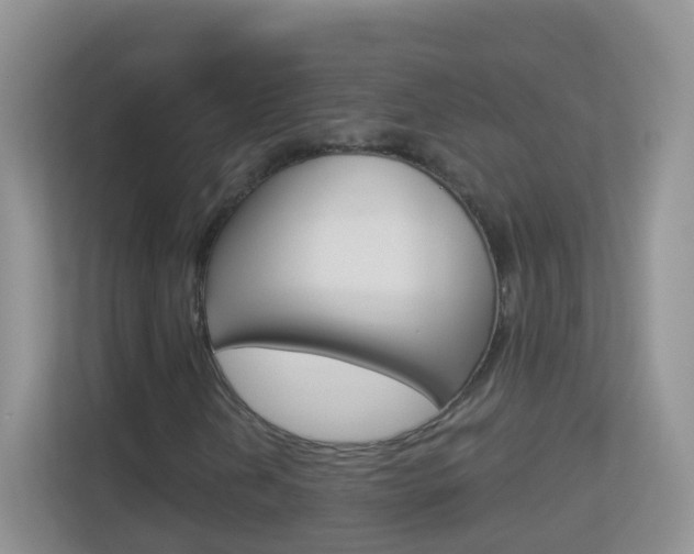 X0000113881202200909241019