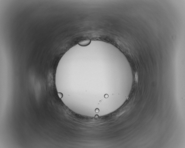 X0000113881203200909241019