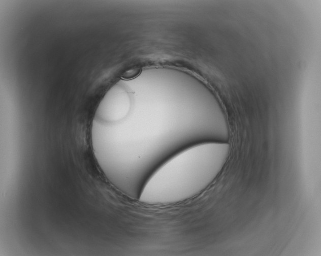 X0000113881205200909241019