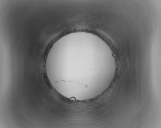 X0000113881207200909241019