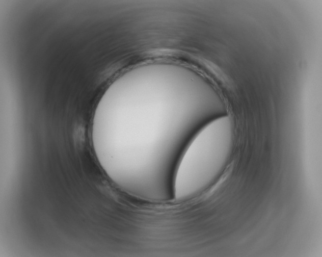 X0000113881209200909241019