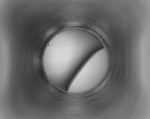 X0000113881210200909241019