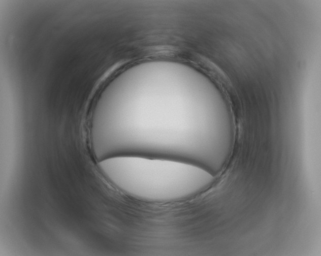 X0000113881212200909241019