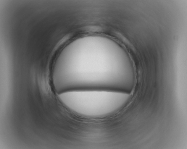 X0000113881213200909241019