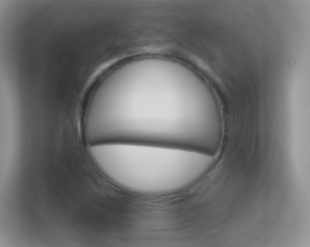 X0000113881214200909241019