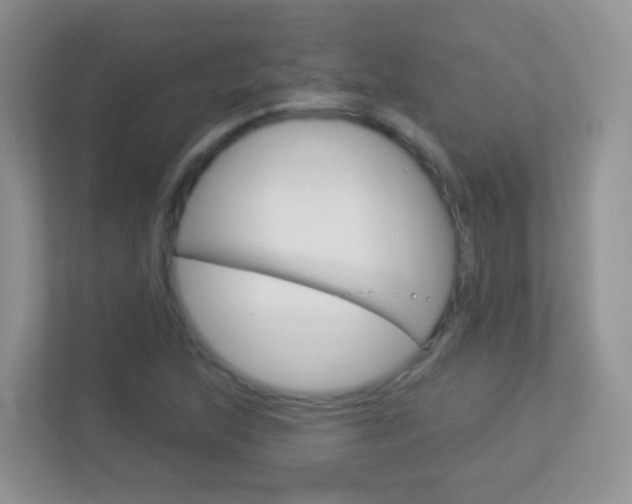 X0000113881215200909241019